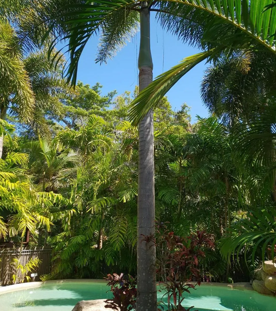 Villa Cassawong Cottages Mission Beach